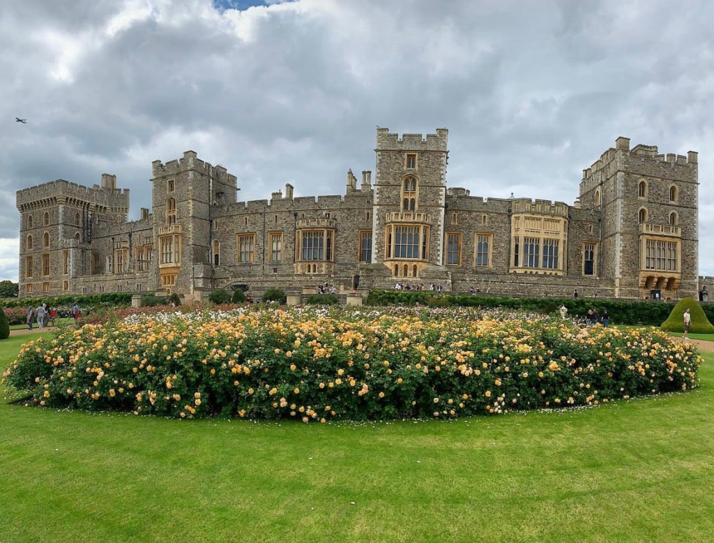 Windsor castle view with roses that are yellow in the gardens